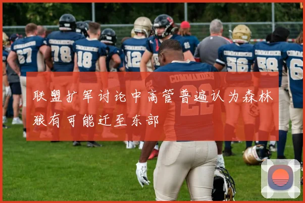 联盟扩军讨论中高管普遍认为森林狼有可能迁至东部