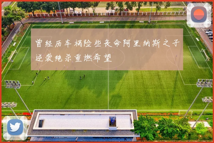 曾经历车祸险些丧命阿里纳斯之子逆袭绝杀重燃希望