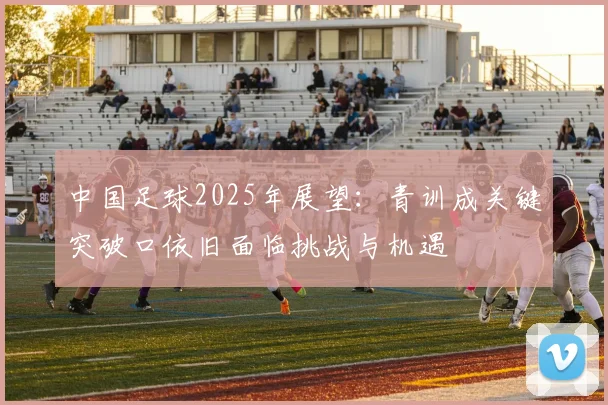 中国足球2025年展望:青训成关键突破口依旧面临挑战与机遇
