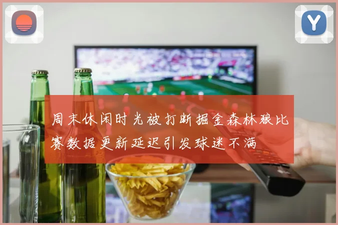 周末休闲时光被打断掘金森林狼比赛数据更新延迟引发球迷不满
