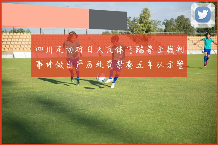 四川足协对日火瓦体飞踹拳击裁判事件做出严厉处罚禁赛五年以示警戒