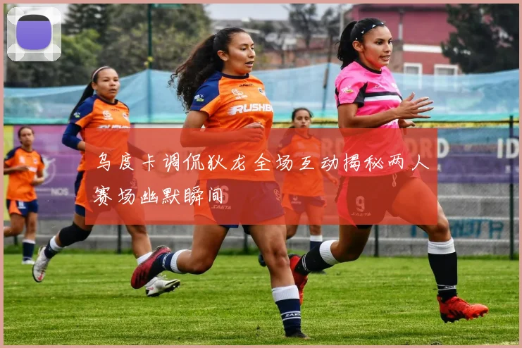 乌度卡调侃狄龙全场互动揭秘两人赛场幽默瞬间